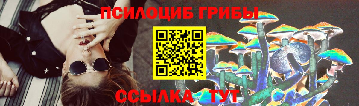 Псилоцибиновые грибы MAGIC MUSHROOMS Кизляр